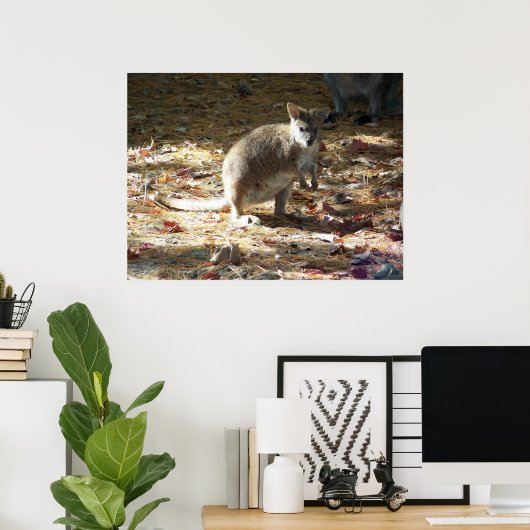 baby kangaroo ポスター (ホームオフィス)