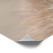 Baby Koala ポスター (角)