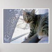 Baby Max ポスター (正面)