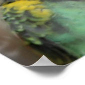 Baby Meyers Parrot Photo Painting ポスター (角)