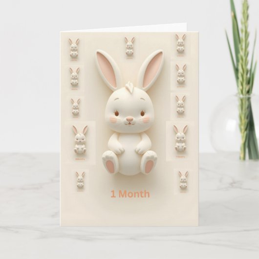 Baby Monthly Milestone Cards カード (正面)