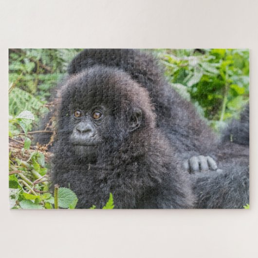 Baby Mountain Gorilla ジグソーパズル (横)