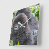 Baby Mountain Gorilla スクエア壁時計 (傾斜)