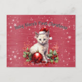 Baby Niece's First Christmas Holiday Postcard シーズンポストカード (正面)