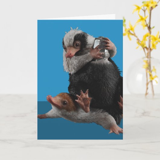 Baby Nifflers Find A Prize カード (黄色い花)