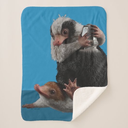 Baby Nifflers Find A Prize シェルパブランケット (正面)