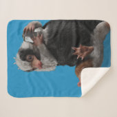 Baby Nifflers Find A Prize シェルパブランケット (正面(横))