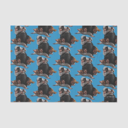 Baby Nifflers Find A Prize 薄葉紙 (正面)