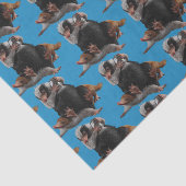 Baby Nifflers Find A Prize 薄葉紙 (詳細)