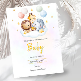 Baby on the Way Announcement 招待状