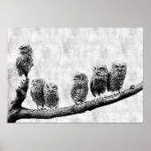 Baby Screech Owls Poster ポスター (正面)