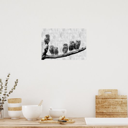 Baby Screech Owls Poster ポスター (キッチン)