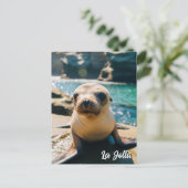 Baby Sea Lion La Jolla California Postcard ポストカード (スタンド正面)