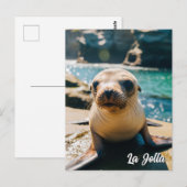 Baby Sea Lion La Jolla California Postcard ポストカード (正面/裏面)