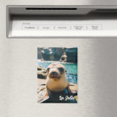 Baby Sea Lion La Jolla California Postcard マグネット (インサイチュ (食洗機))