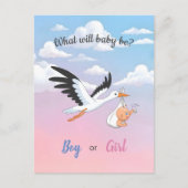 Baby Stork Clouds Gender Reveal Party Invitation ポストカード (正面)