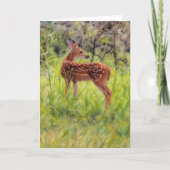 Baby Wild Deer Fawn Art Nature Note Card カード (正面)