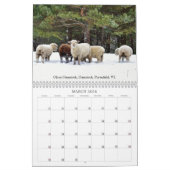 Babydoll Southdown Sheep 2026 NABSSAR Calendar カレンダー (3月 2026)