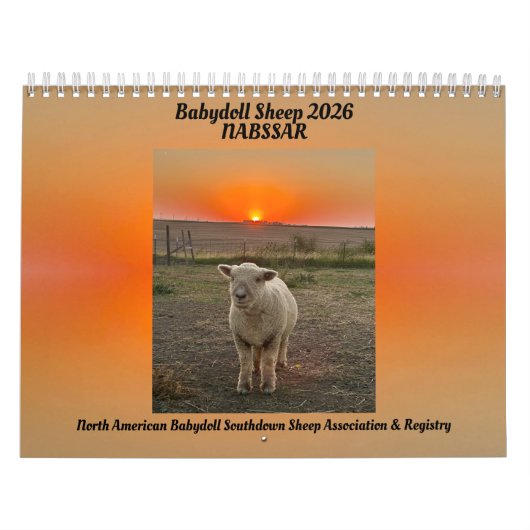Babydoll Southdown Sheep 2026 NABSSAR Calendar カレンダー (カバー)