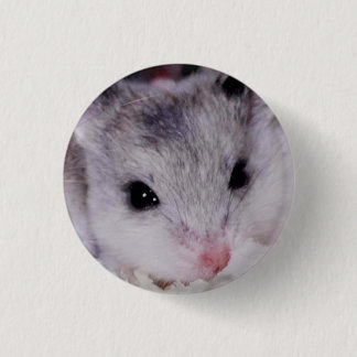 babyham 缶バッジ