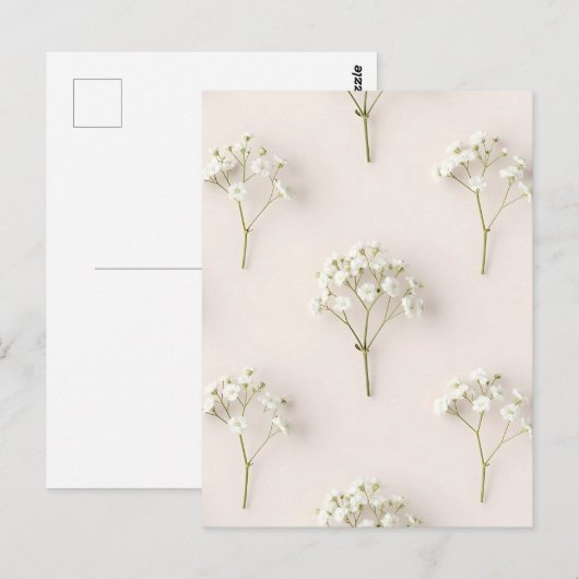 Baby's Breath Delicate Neutral Pattern ポストカード (正面/裏面)