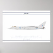 BAC TSR-2 XR222 ポスター (正面)
