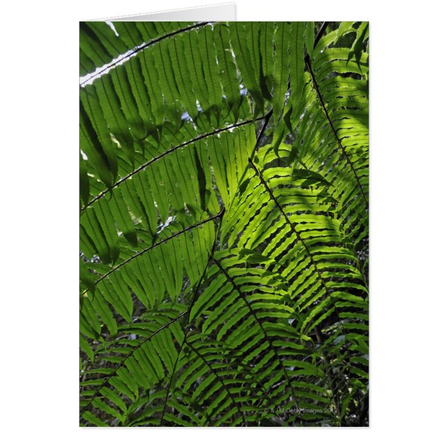 Bach Maの国立公園 (正面)