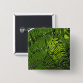 Bach Maの国立公園 缶バッジ (正面&裏面)