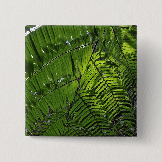 Bach Maの国立公園 缶バッジ (正面)