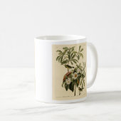 Bachman's Warbler、Audubon's Birds of America コーヒーマグカップ (正面右)