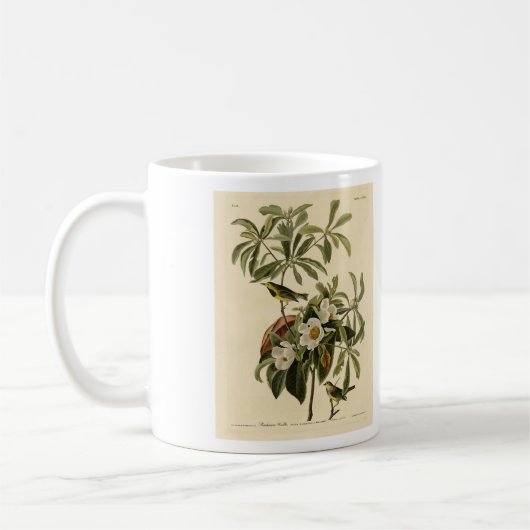 Bachman's Warbler、Audubon's Birds of America コーヒーマグカップ (左)