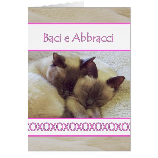 Baci e Abbracci、Hugs、およびキスイタリアンの (正面)