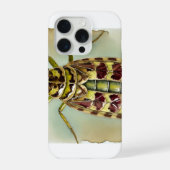 Bacillus insect dorsal view 300824IREF247 - Waterc iPhoneケース (裏面)
