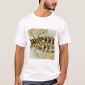 Bacillus insect dorsal view 300824IREF247 - Waterc Tシャツ (正面)