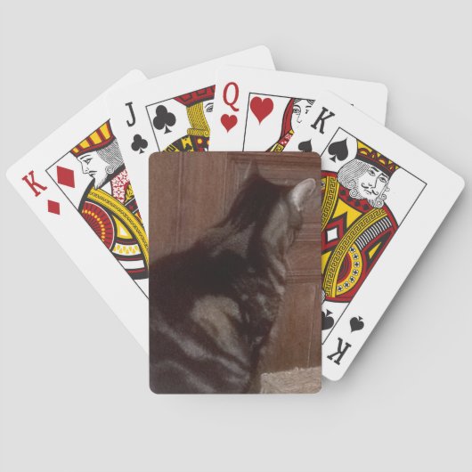 Back Daveに話す トランプ (裏面)