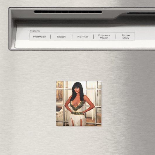 Back to That Special Place magnet マグネット (インサイチュ (食洗機))