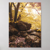 backbone state park iowa ポスター (正面)