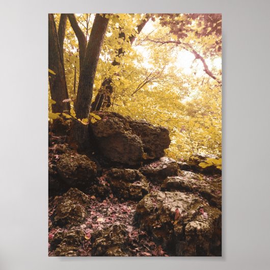 backbone state park iowa ポスター (正面)