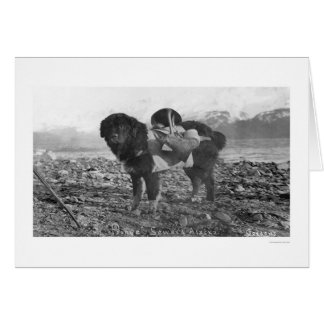 Backpacking犬Seward、アラスカ1911年