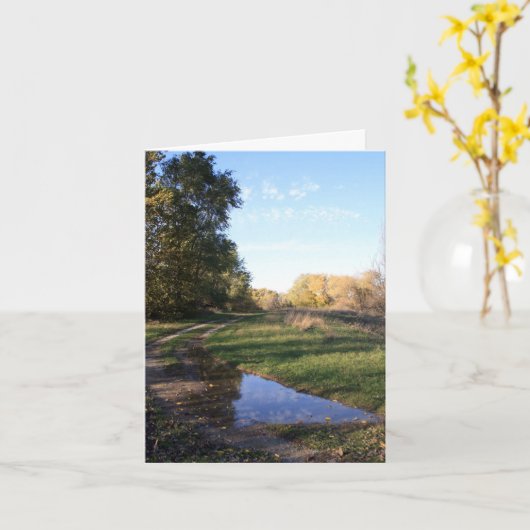 Backroads Reflection Note Card カード (黄色い花)