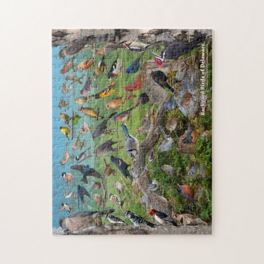 Backyard Birds of Delaware ジグソーパズル (縦)