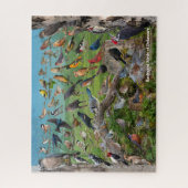 Backyard Birds of Delaware ジグソーパズル (縦)