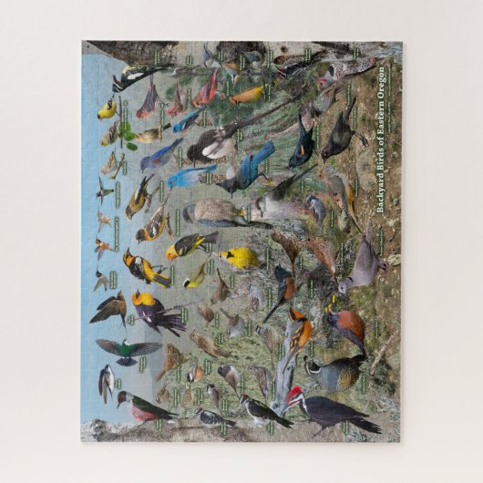 Backyard Birds of Eastern Oregon ジグソーパズル (縦)