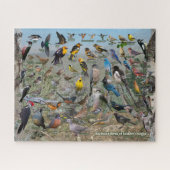 Backyard Birds of Eastern Oregon ジグソーパズル (横)