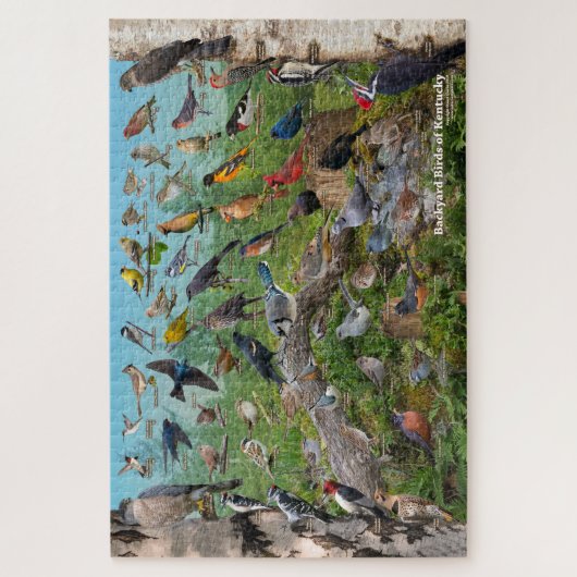 Backyard Birds of Kentucky ジグソーパズル (縦)