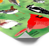 Backyard Birds of Minnesota Poster ポスター (角)