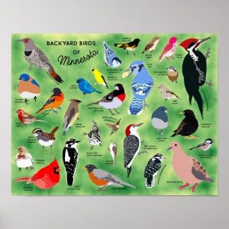 Backyard Birds of Minnesota Poster ポスター