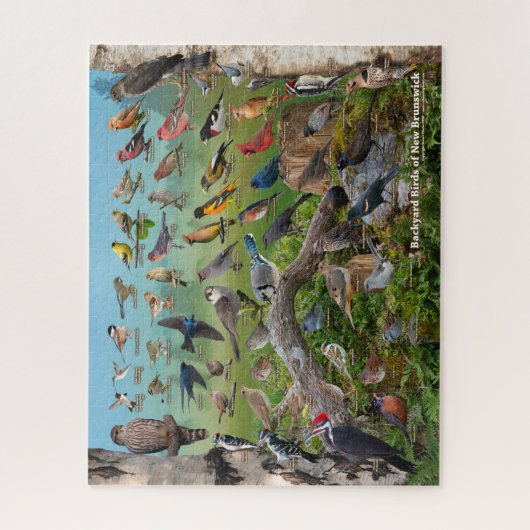 Backyard Birds of New Brunswick ジグソーパズル (縦)