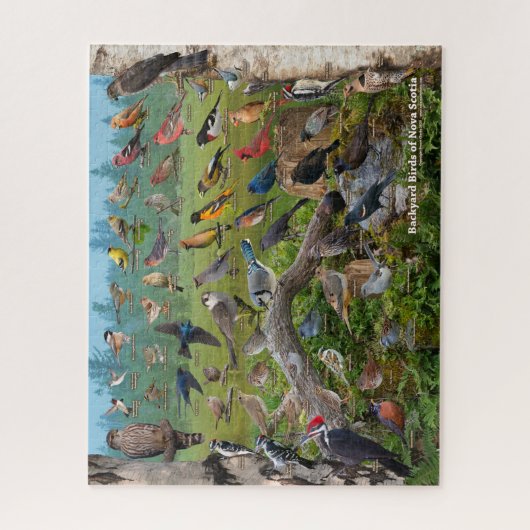 Backyard Birds of Nova Scotia ジグソーパズル (縦)
