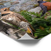 Backyard Birds of Ohio ポスター (角)